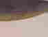item-131686799=20