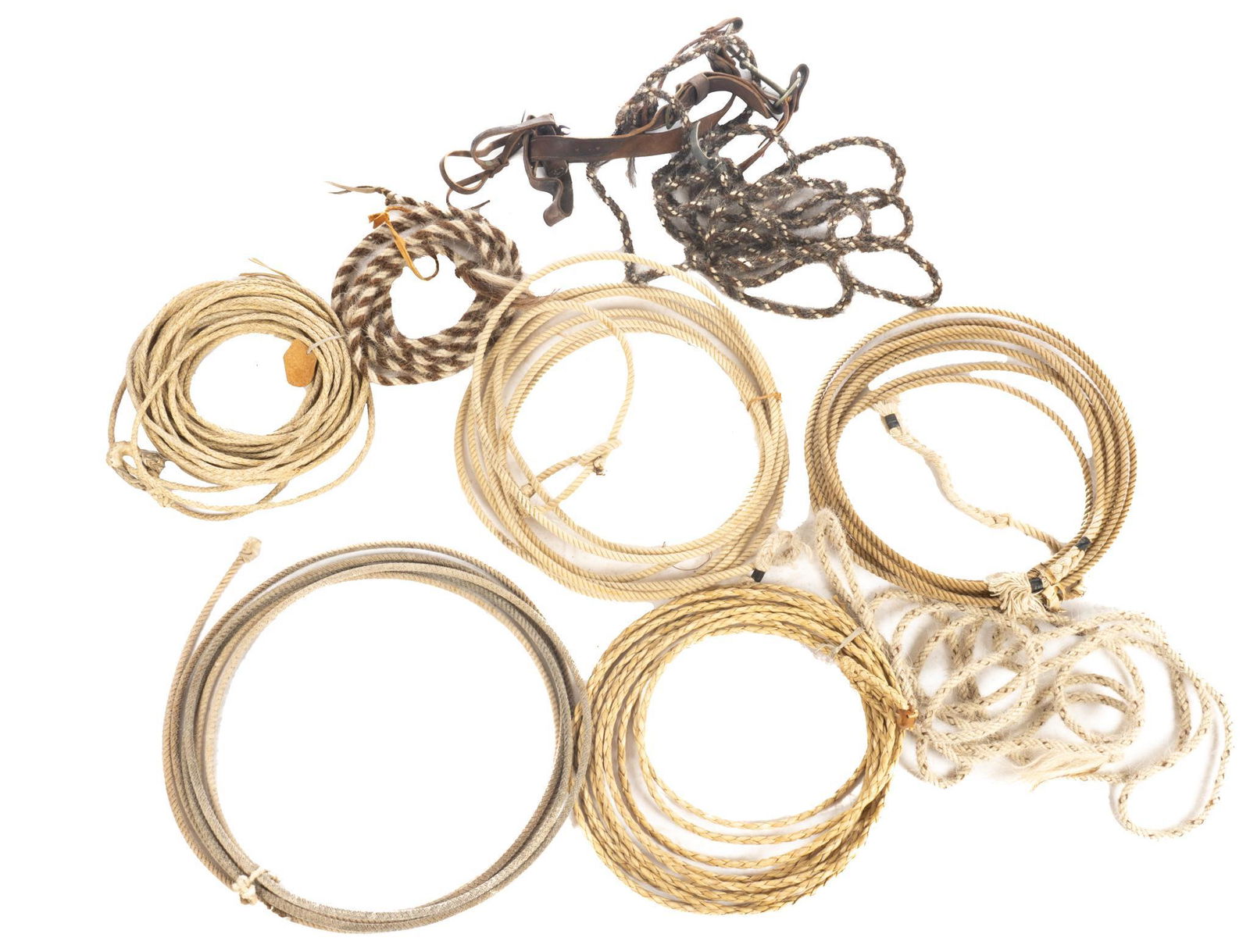 Collection of (8) Riatas & Bridle (1 of 4)