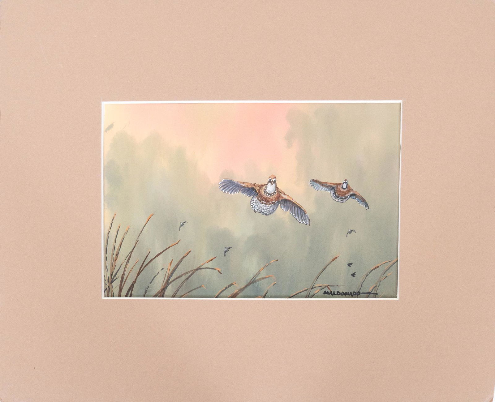 Daniel Maldonado (1940-2019, TX), Quail (1 of 2)