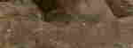 item-133450441=5