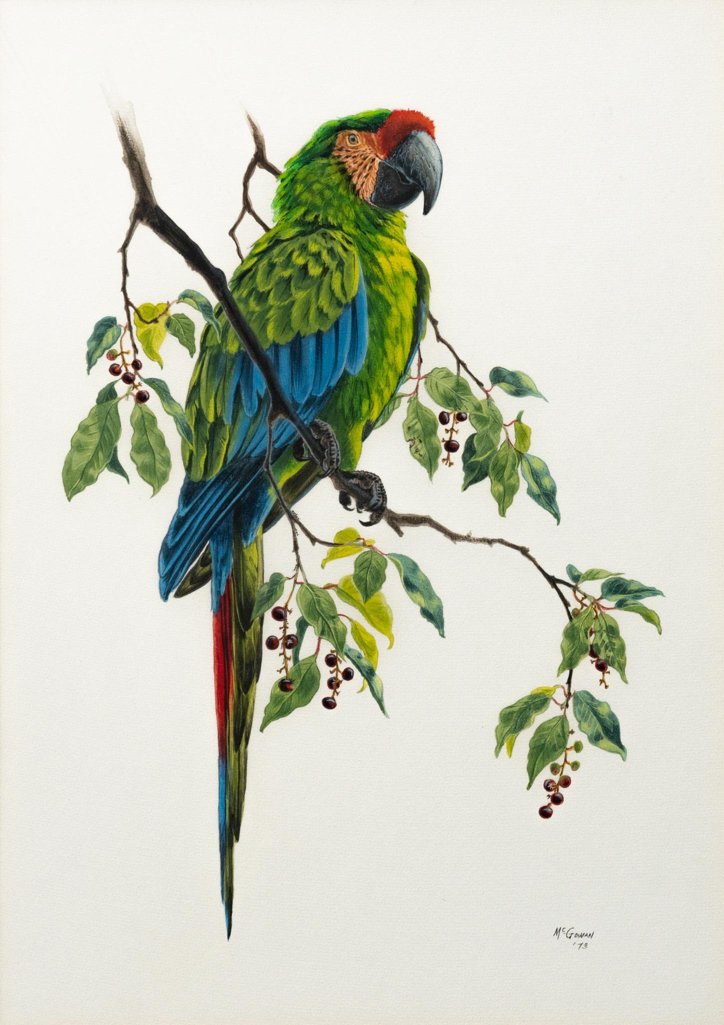 Ruth McGowan, Parrot: Ruth McGowan, Parrot, 1973, watercolor, sight: 19 x 13.5", frame: 28 x 22" Provenance: A San Antonio, Texas collection We happily provide seamless shipping services on everything we sell. Plea