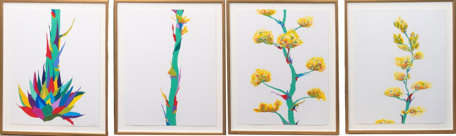 Zelime Matthews, Yucca Quadtych: Zelime Matthews, Yucca Quadtych, oil and pencil on paper, sight: 26.5 x 21.5", frame: 29 x 23" Zelime Matthews, 2015 San Antonio Art League Artist of the Year, graduated with a degree in art h