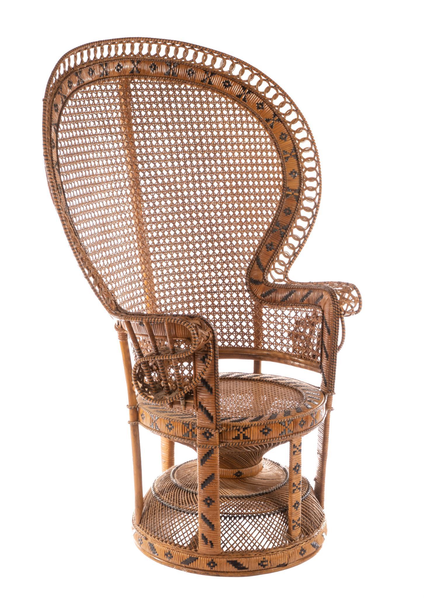 Wicker Emanuelle Peacock Chair (1 of 6)