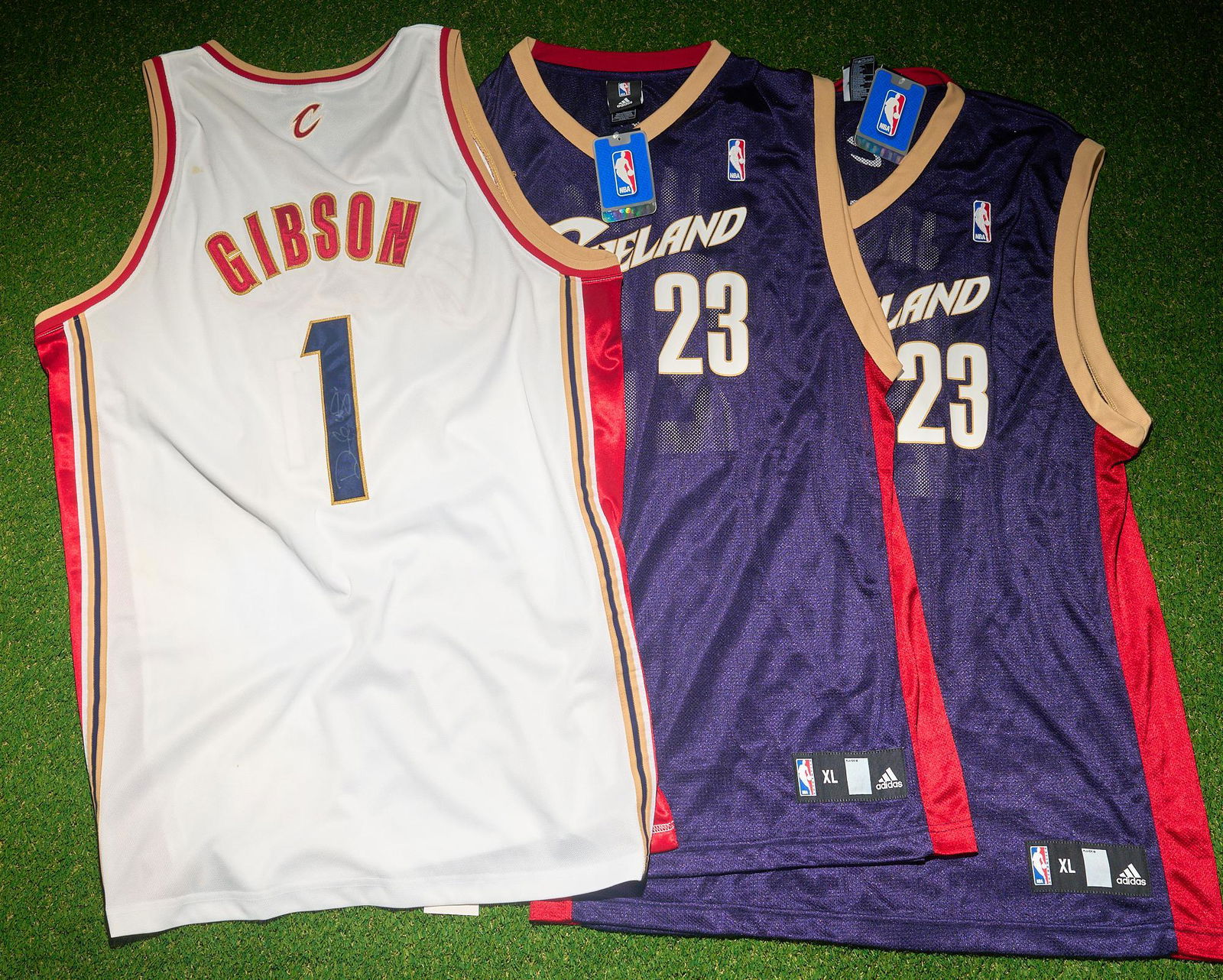 3 Cleveland Cavaliers Jerseys, 1 Signed by Daniel Gibson (1 of 5)