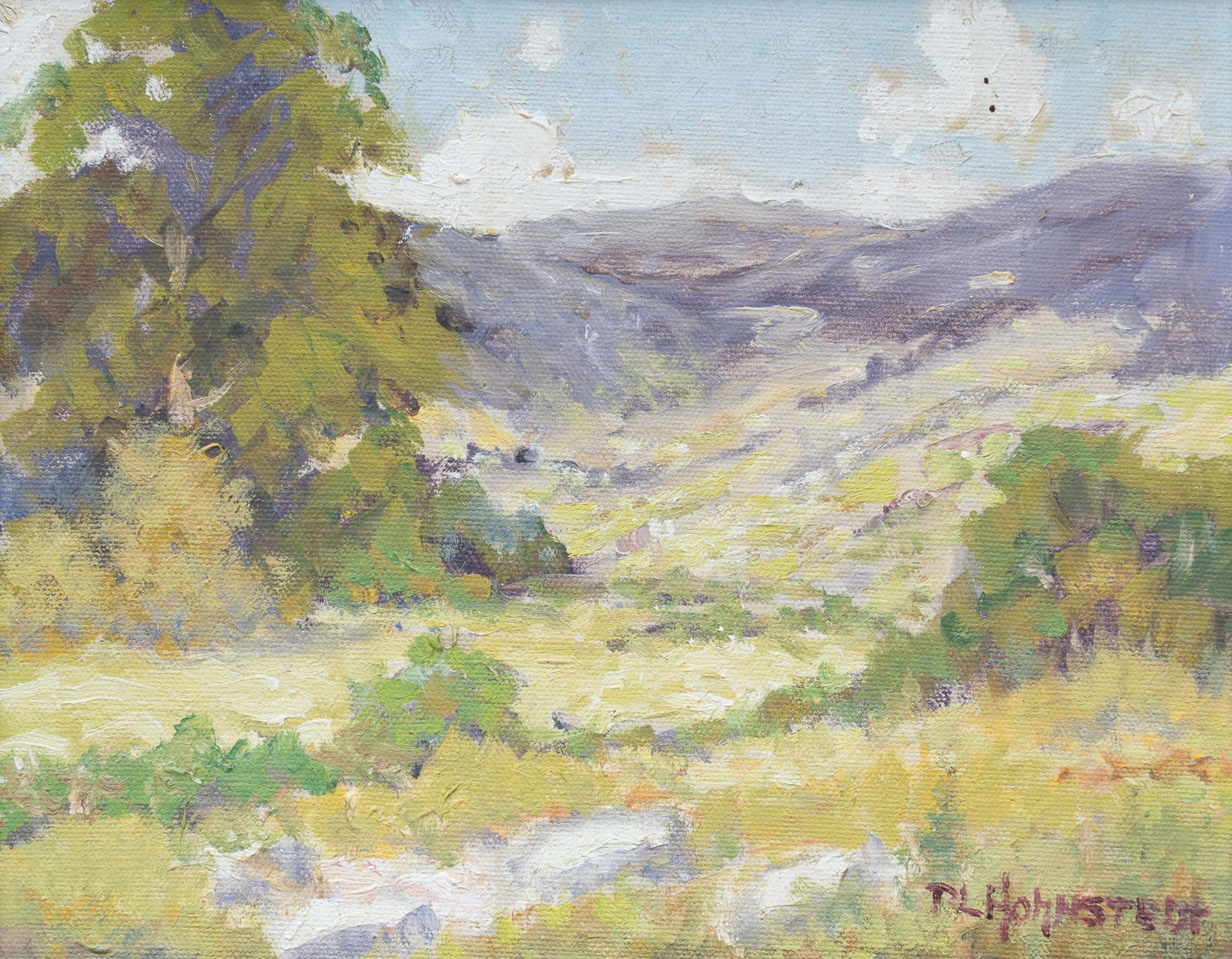 Peter Lanz Hohnstedt, Verdant Landscape (1 of 4)