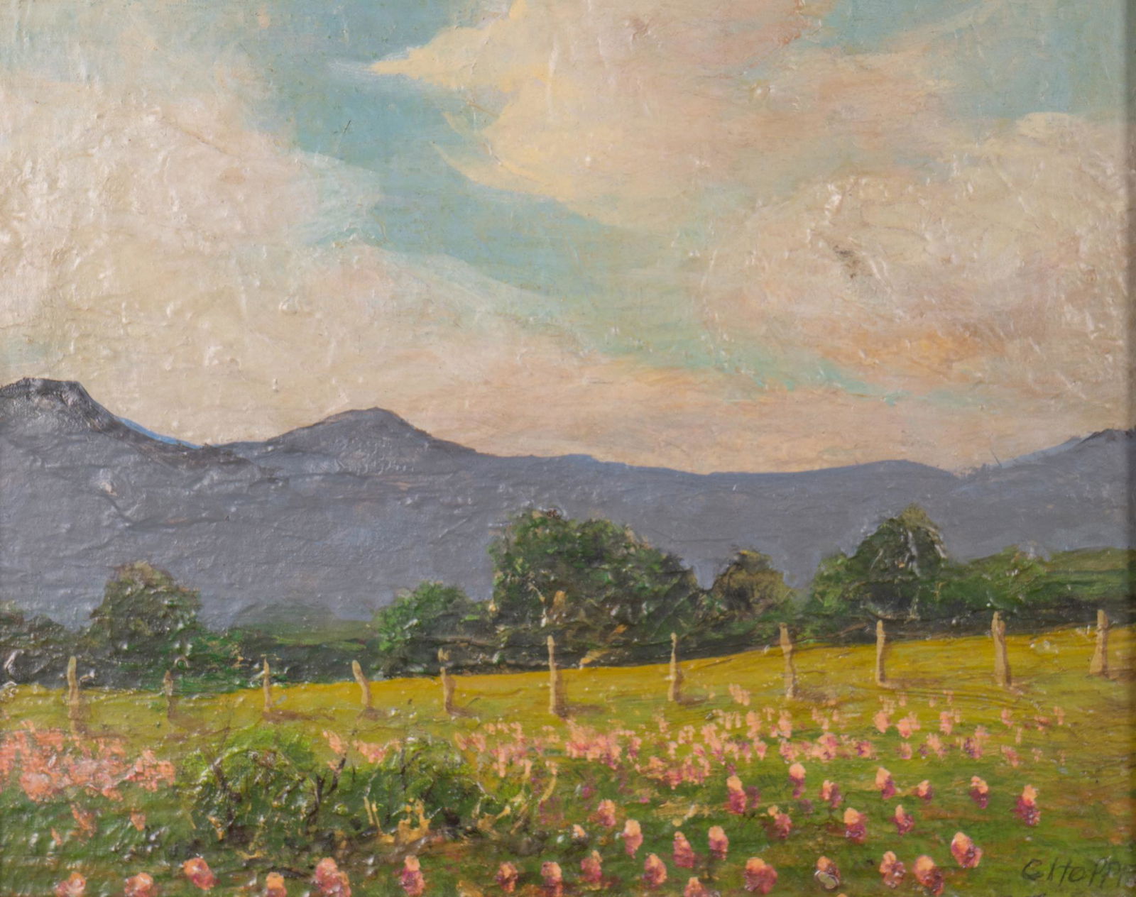 Carl Hoppe, Spring Landscape: Carl Hoppe (San Antonio, Texas, 1897-1981), spring landscape, oil on board, sight: 8 x 10", frame: 13 x 15" Provenance: An Olmos Park, Texas collection Carl Hoppe is best known for painting landscap