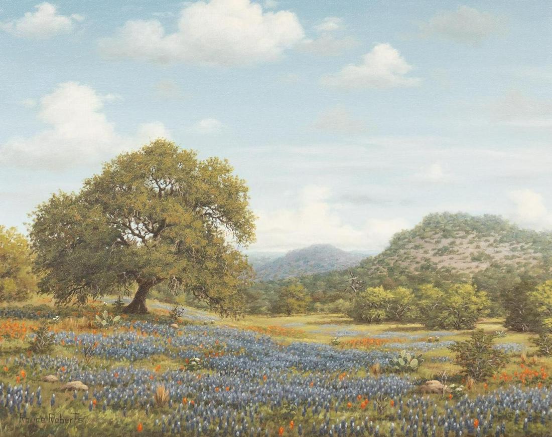 Royce Roberts, Bluebonnet Landscape (1 of 4)