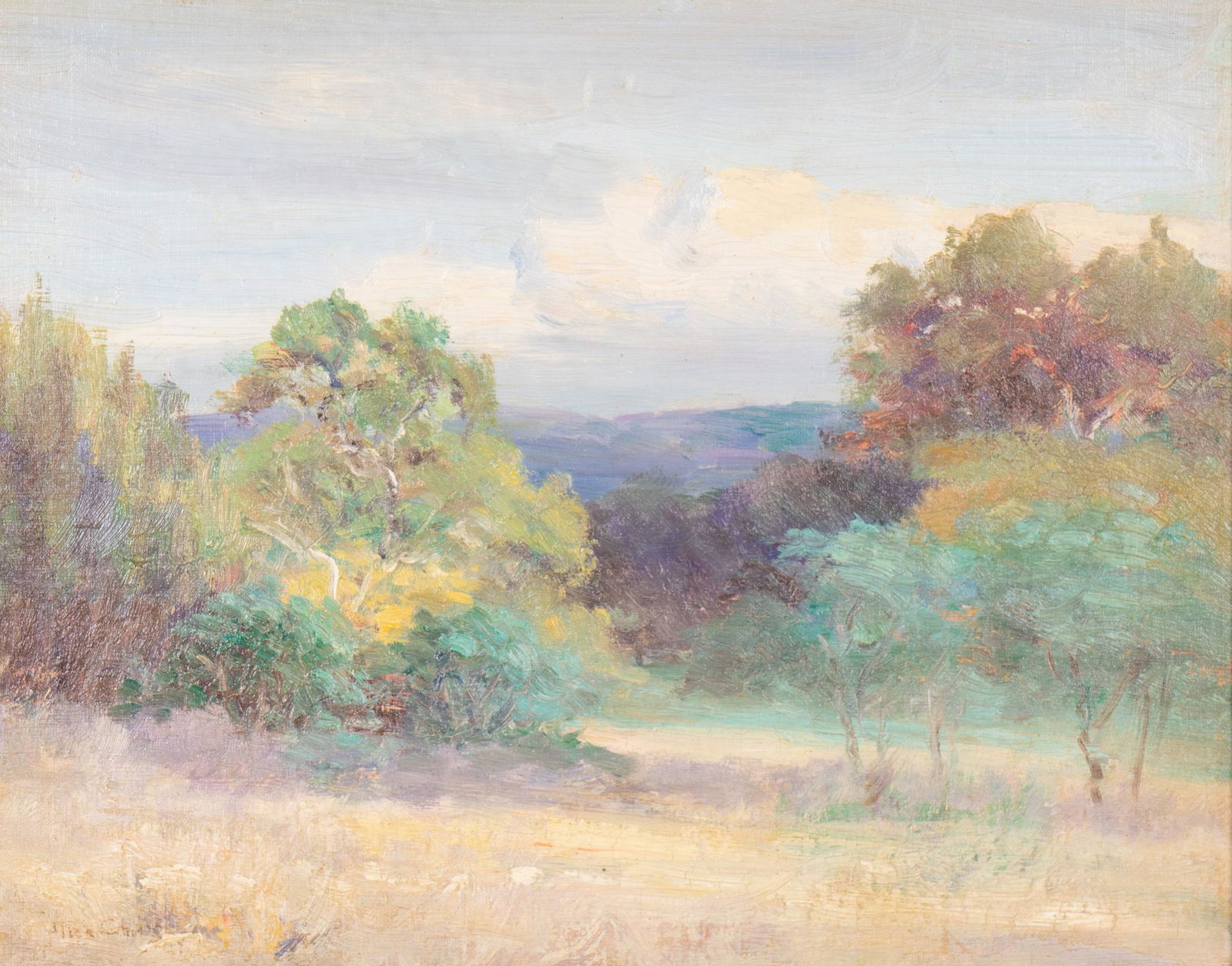 Alice Chilton, Hill Country Study (1 of 4)