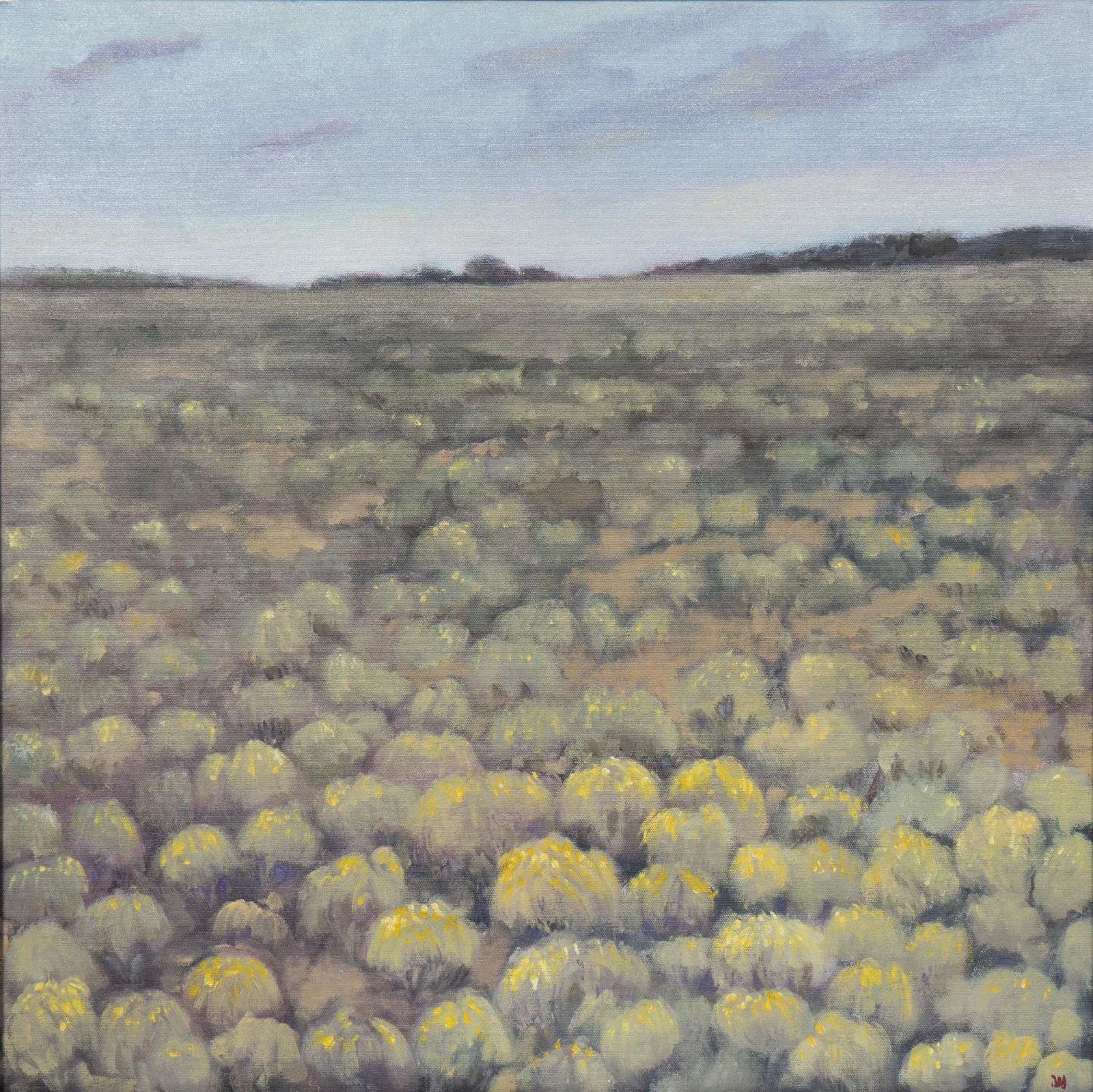 Brian St. John, "Rabbit Bush - West of San Antonio", 2012 (1 of 5)