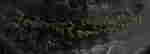 item-136485869=4
