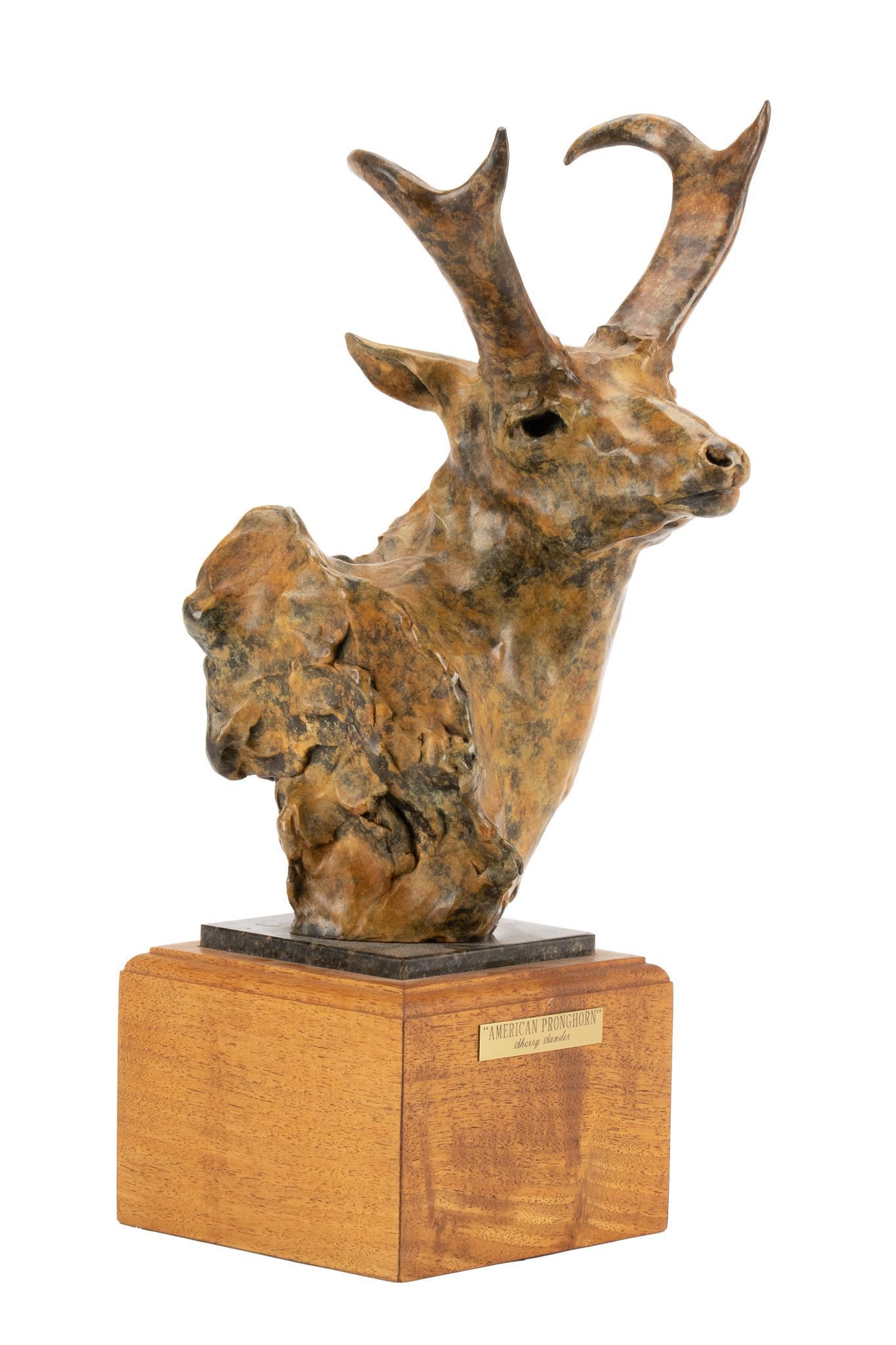 Sherry Salari Sander, "American Pronghorn" (1 of 6)