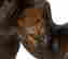 item-137126883=6