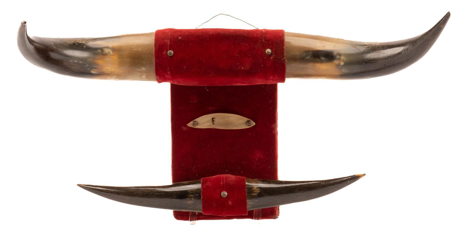 Set of Cattle Horns Wall Display on Velvet Base (1 of 6)