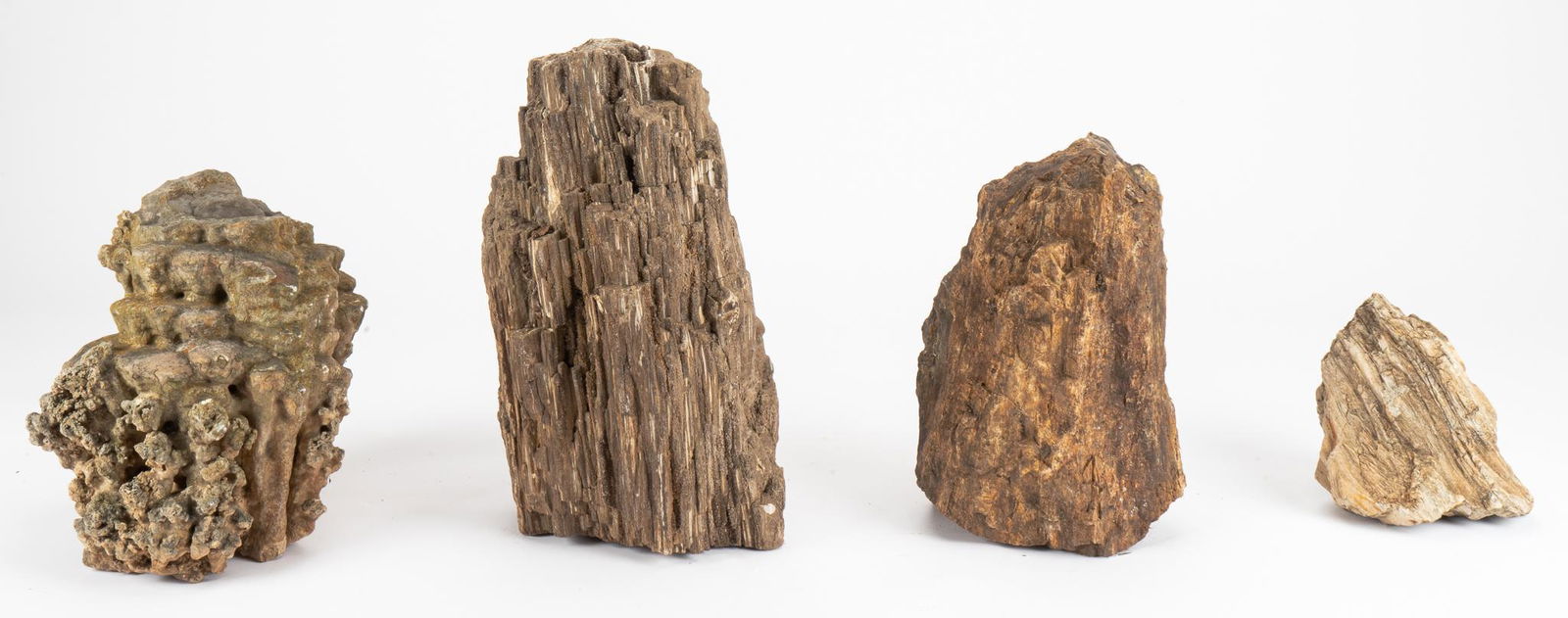 (3) Petrified Wood Pieces and (1) Stalagmite Examples (1 of 5)