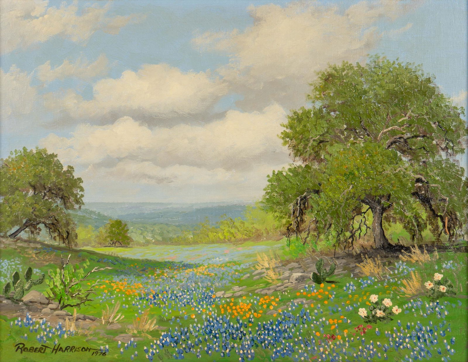 Robert Harrison, Wildflower Landscape Study, 1976 (1 of 5)