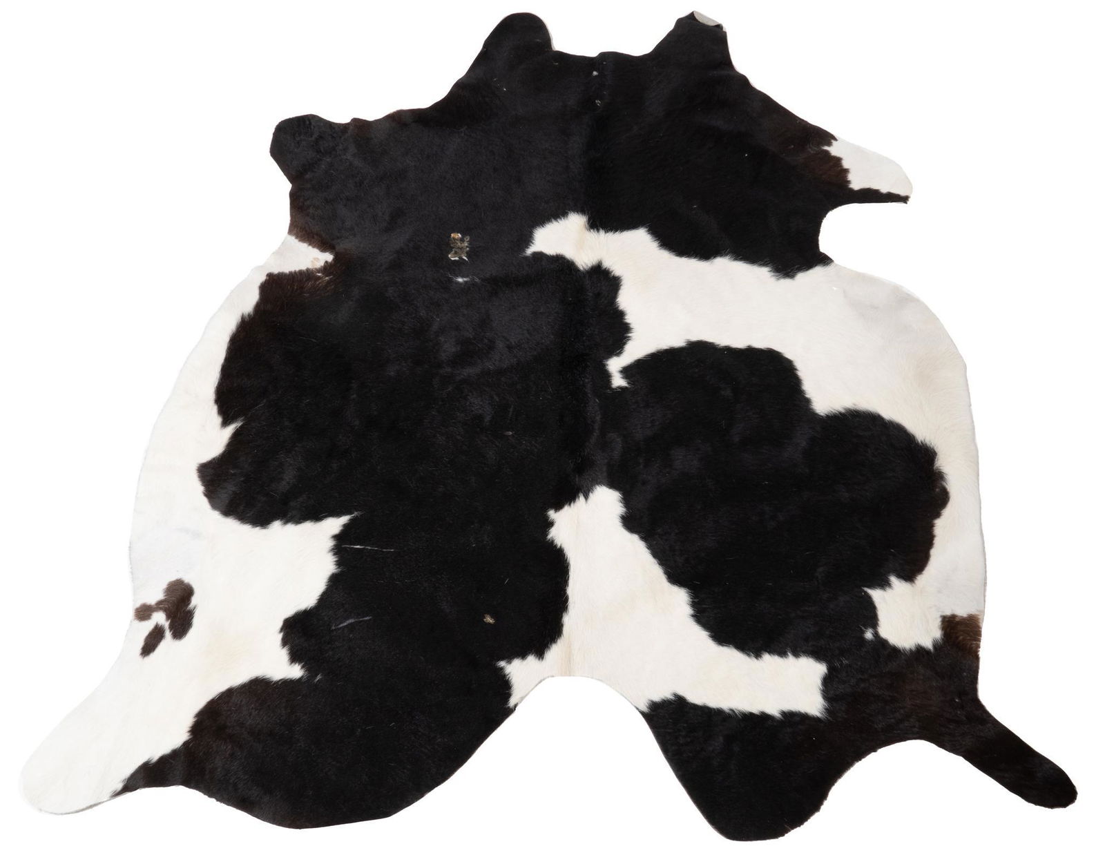 Taxidermy Cow Hide Rug (1 of 3)
