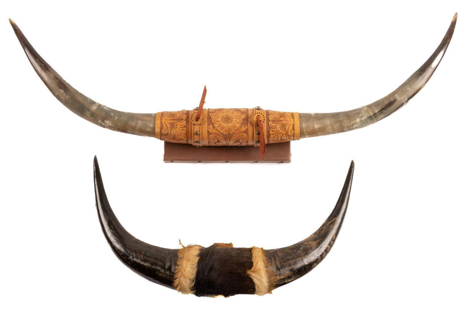 (2) Sets of Taxidermy Bovine Horns (1 of 8)