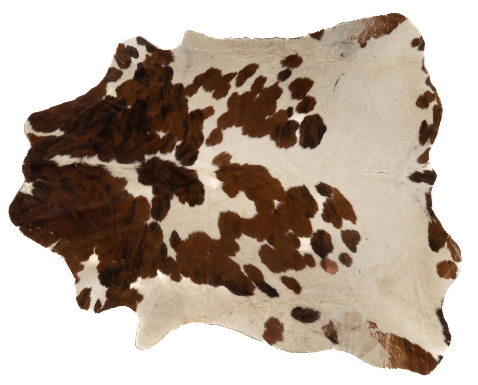 Taxidermy Cow Hide Rug (1 of 5)