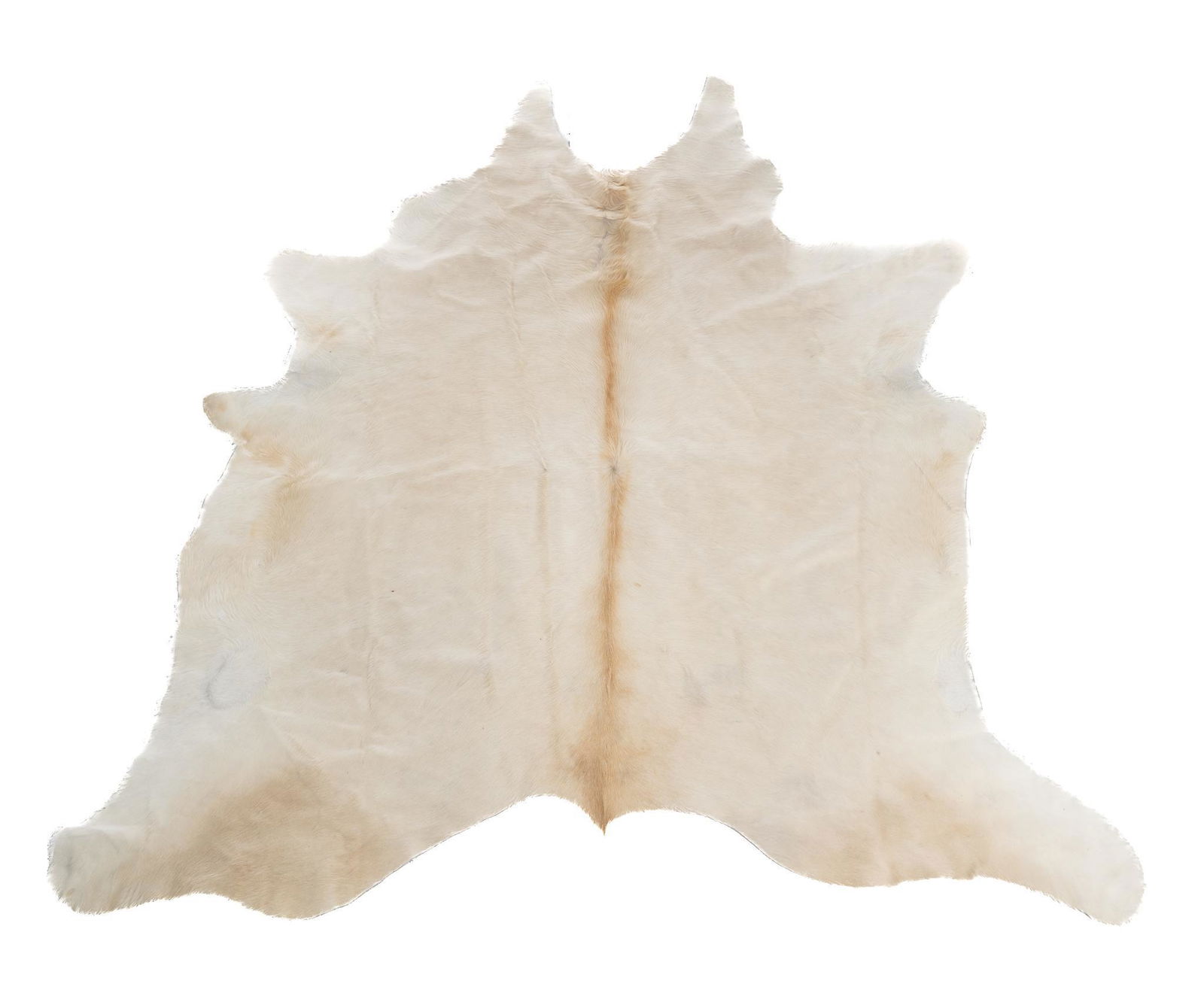 Taxidermy Cow Hide Rug (1 of 3)