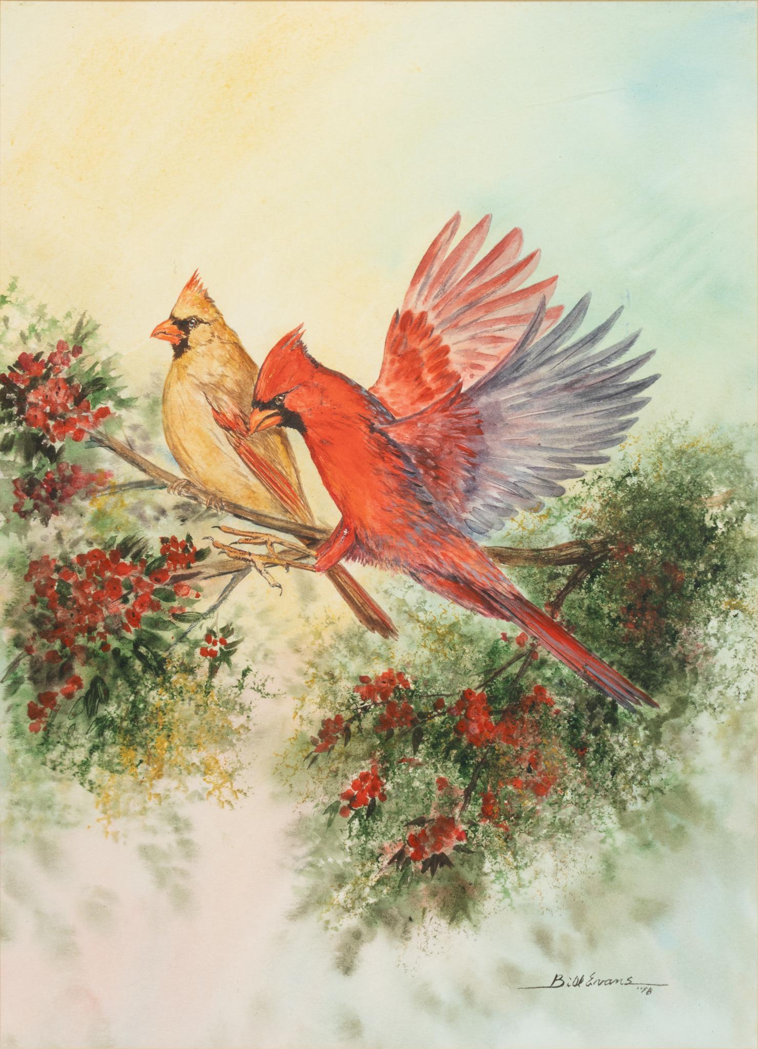 Bill Evans, Two Cardinals (1 of 5)