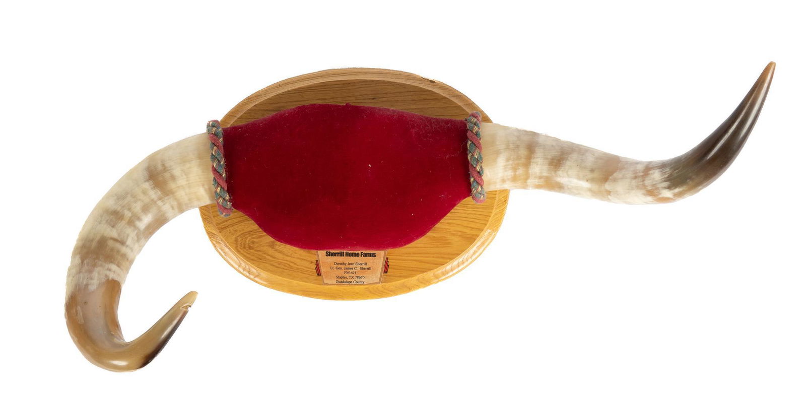 Pair of Cattle Horns Wall Decor (1 of 3)