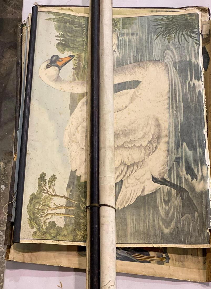 (11) Vintage Posters: Eleven vintage posters width 75 in. / largest We happily provide seamless shipping services on everything we sell. Please email us at shipping@vogtauction.com or call 210-971-5750 for more infor