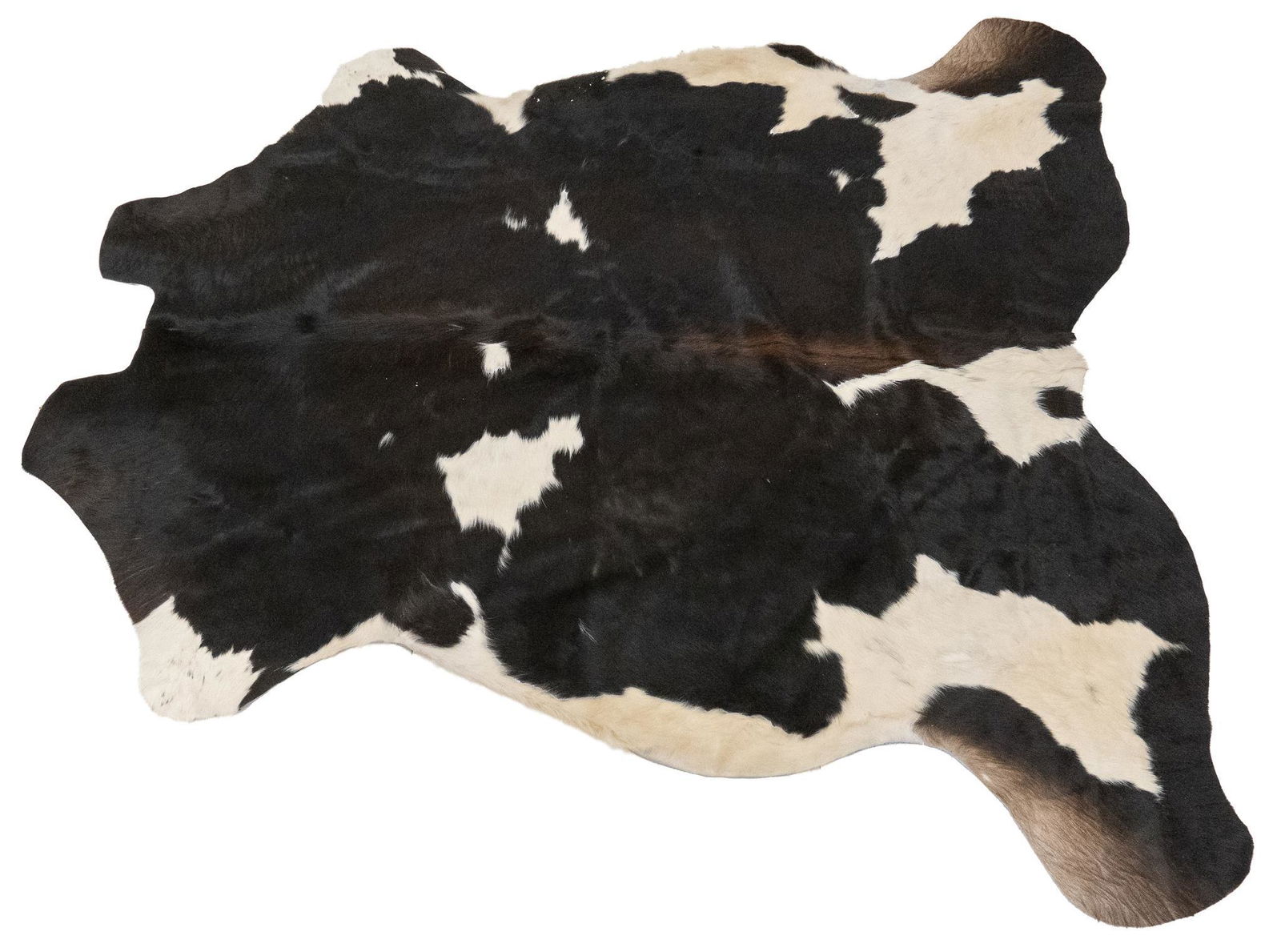 Taxidermy Cow Hide Rug (1 of 3)