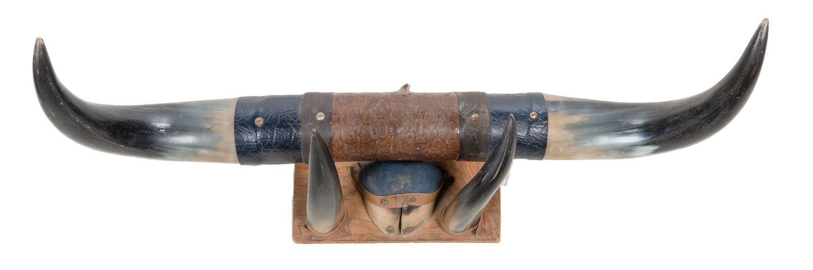 Cattle Horn Wall Display (1 of 2)