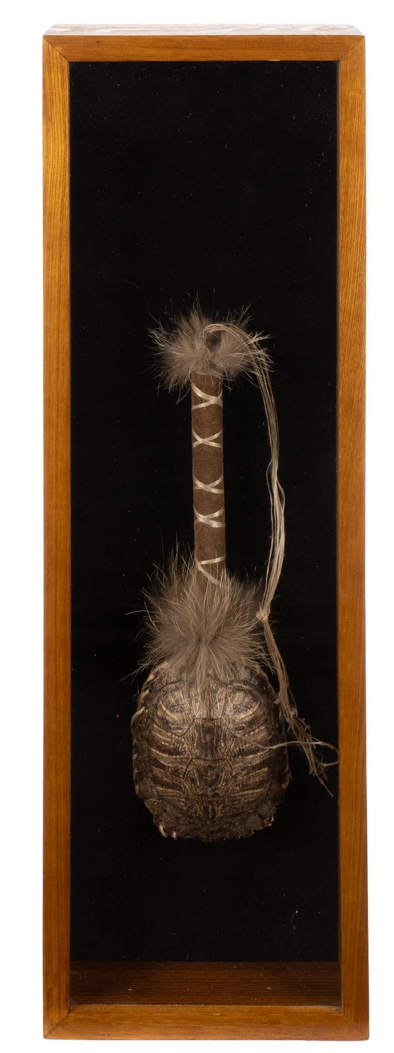 Framed Turtle Rattle (1 of 2)