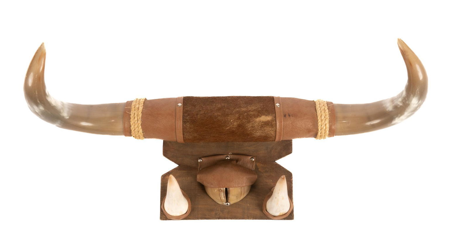 Cattle Horn Wall Display (1 of 2)