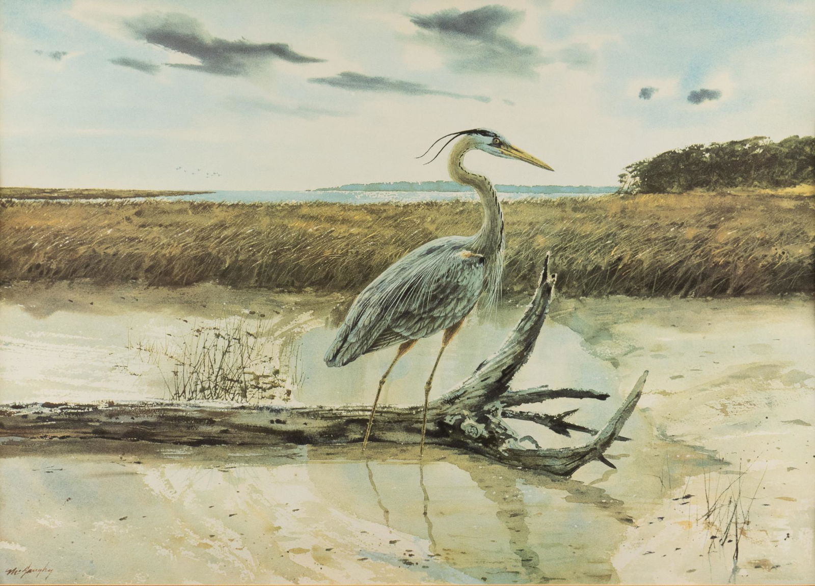 Clay McGaughy, Heron (1 of 5)