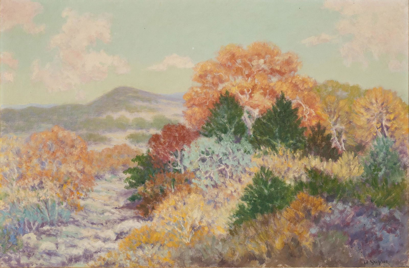 Ira Shepler, Hill Country Landscape (1 of 5)