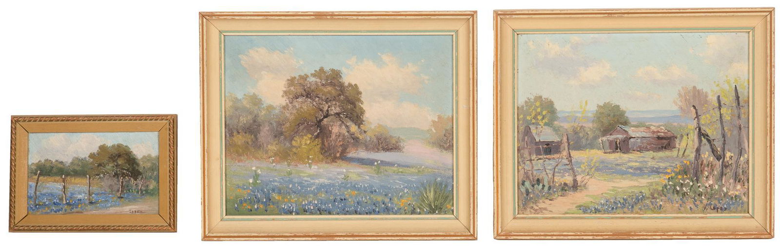 Viveano Lopez, Bluebonnet Landscapes (3) (1 of 7)