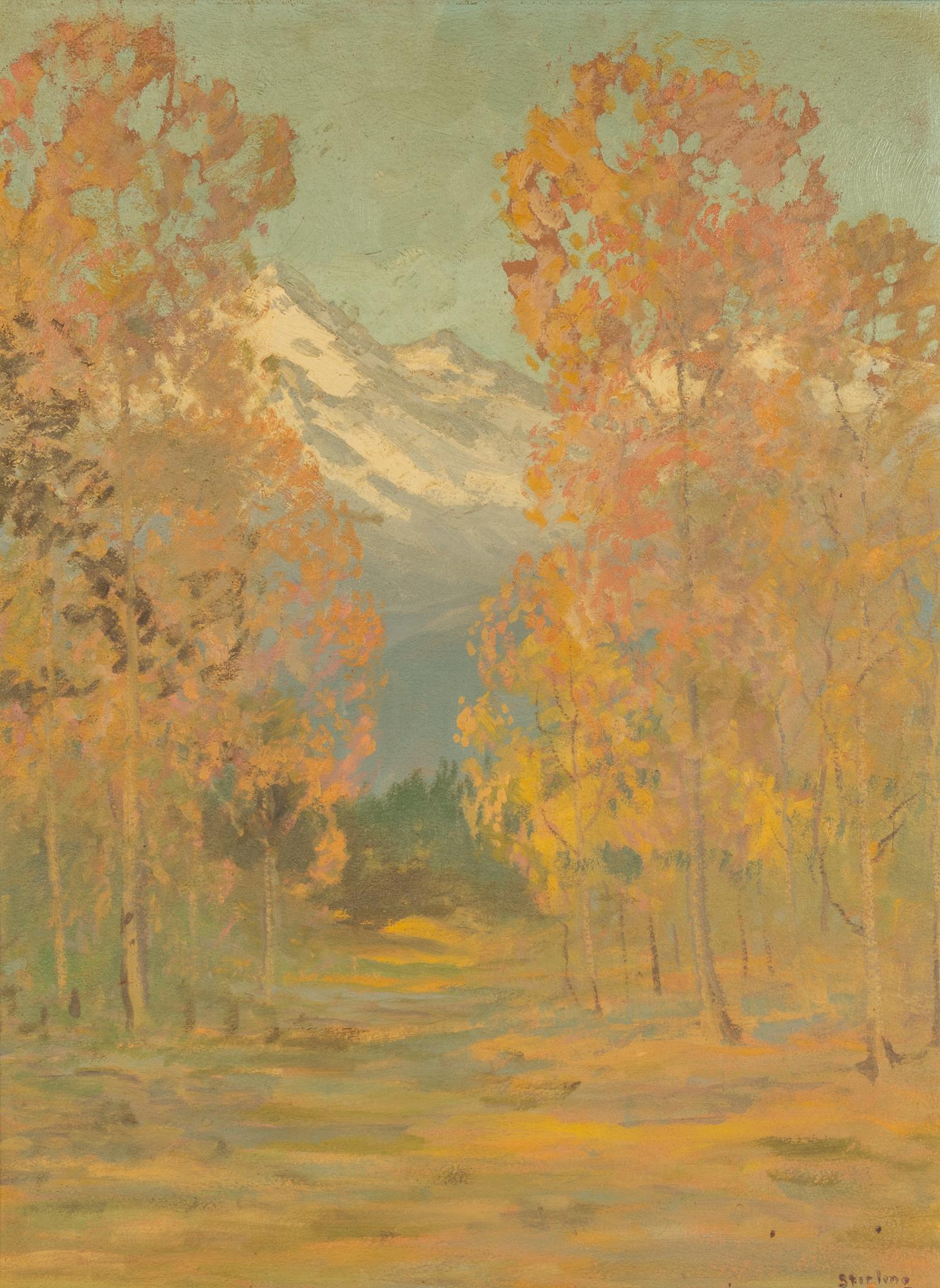 David Stirling, Colorado Aspens: David Stirling (1877-1971, Colorado), landscape of Colorado aspens, oil on board sight: 24 x 18 in., frame: 31.5 x 25.5 in. Provenance: A Hollywood Park, Texas collection We happily provide seamless s