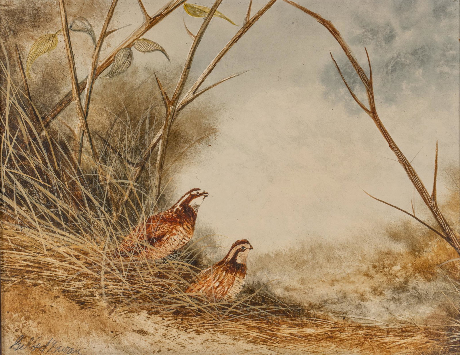 Gilbert Duran, Pair of Quail: Gilbert Duran (Texas, b. 1936), scene of two quail in landscape, watercolor sight: 10.5 x 13.5 in., frame: 15 x 18 in. Provenance: A San Antonio, Texas collection We happily provide seamless shipping 