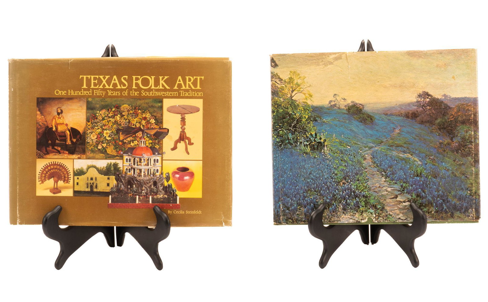 (2) Art Books: Texas Folk Art, The Onderdonks: A Family of Painters: Two Texas Art books by Cecilia Steinfedlt, including 1981 Texas Folk Art published by Texas Monthly Press, 1976 The Onderdonks: A Family of Texas Painters, published by Trinity University Press, both 