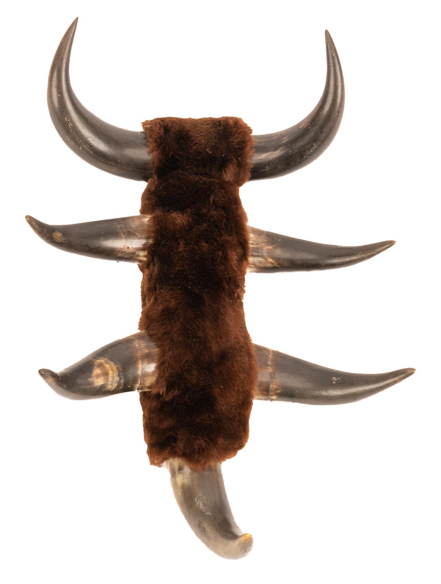 Rustic Buffalo Horn Rack: Rustic buffalo horn wall rack, with seven taxidermy buffalo horns, mounted on fur covered base height 20 in. x width 14 in. x depth 7 in. Provenance: An Alamo Heights, Texas collection We happily p