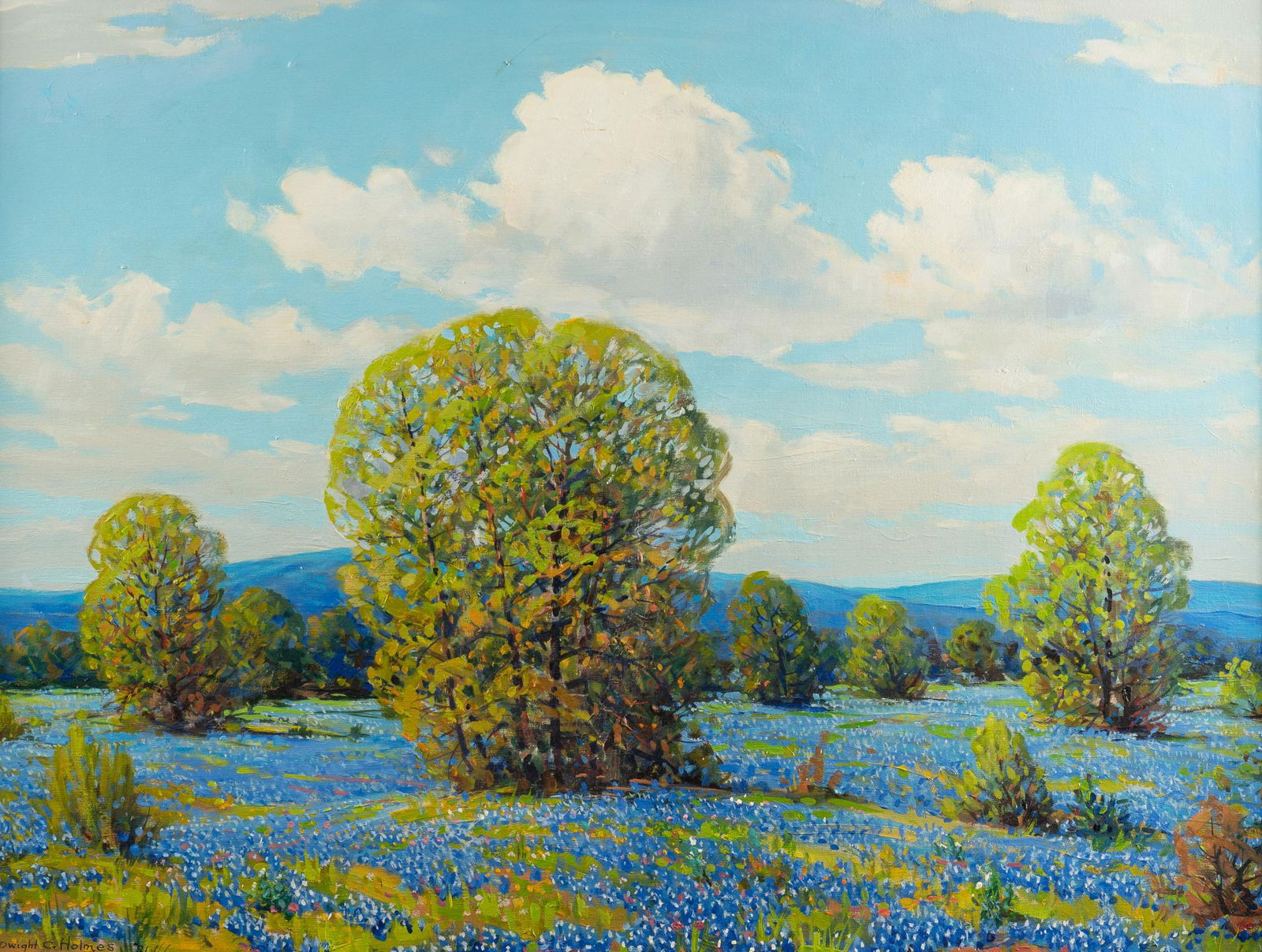 Dwight C. Holmes, Bluebonnet Landscape (1 of 6)