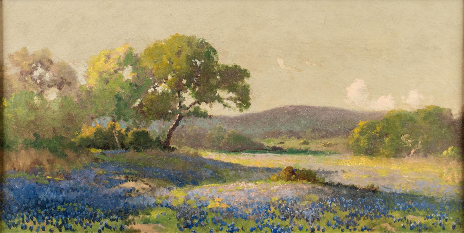 Robert Wood, Buckeye Bluebonnet Landscape (1 of 3)