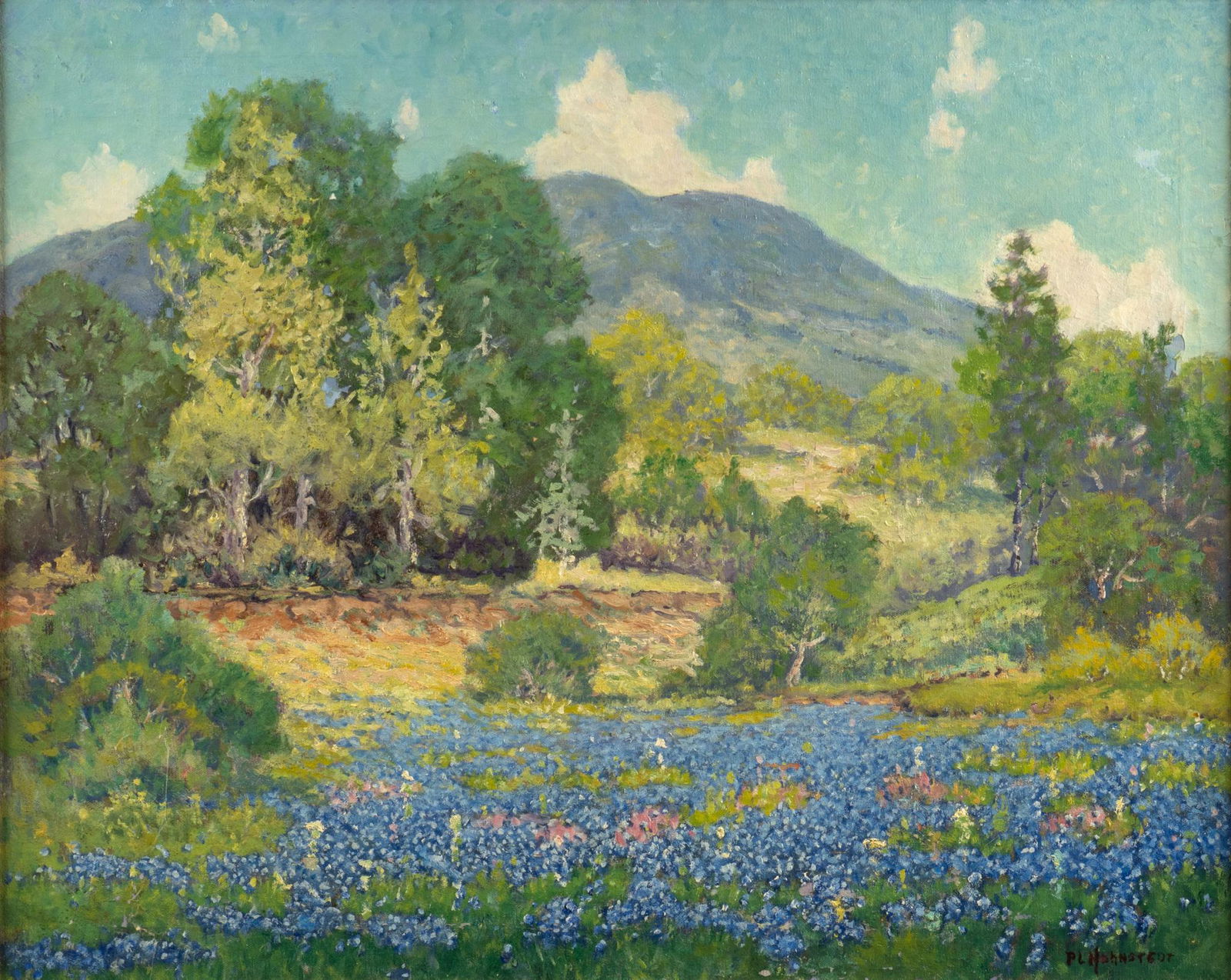 Peter L. Hohnstedt, Hill Country Bluebonnets (1 of 4)