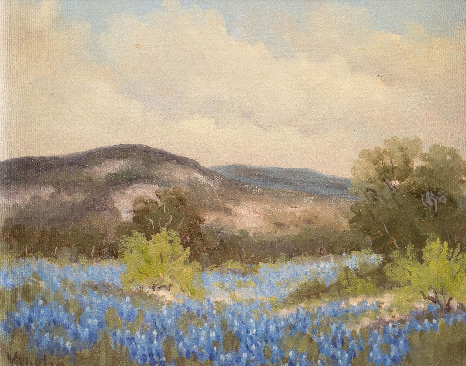Vivian Love, Bluebonnet Landscape (1 of 4)