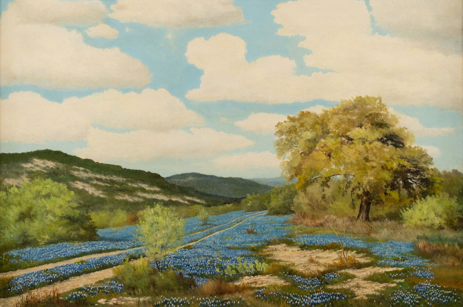 Manuel Garza, Bluebonnet Landscape (1 of 5)