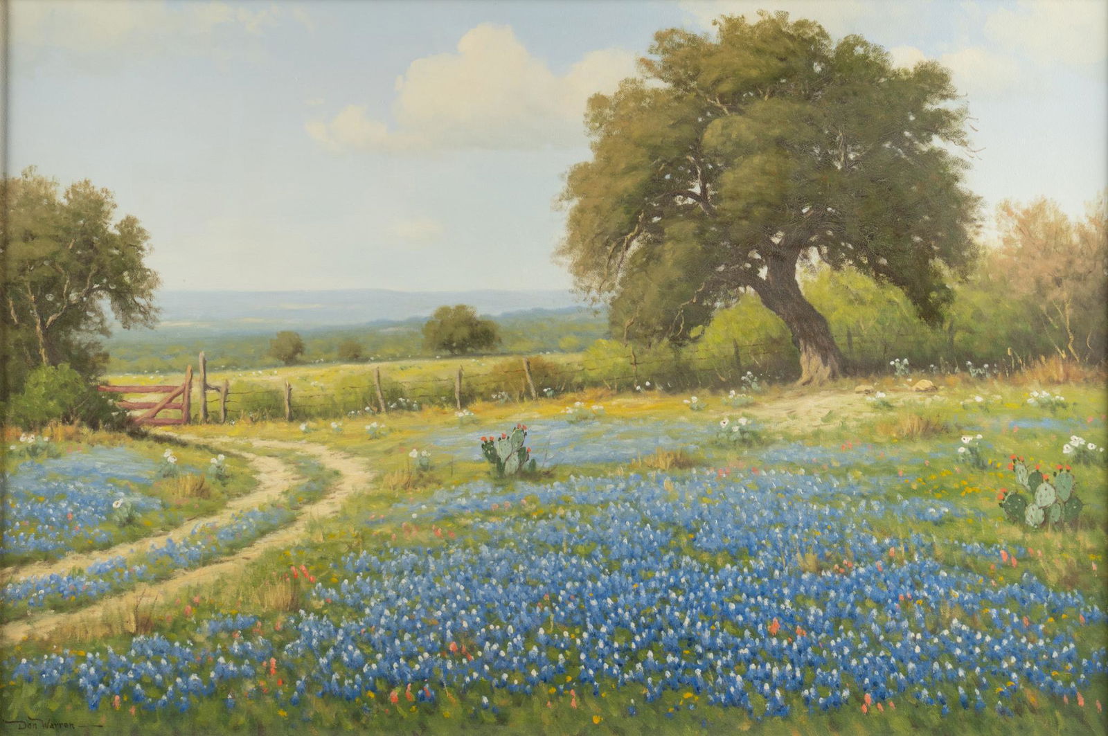 Don Warren, Bluebonnet Landscape (1 of 5)