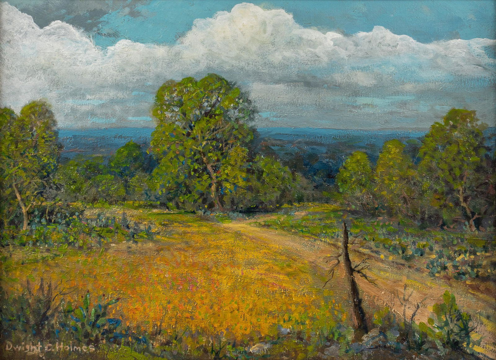 Dwight C. Holmes, Coreopsis Field (1 of 4)