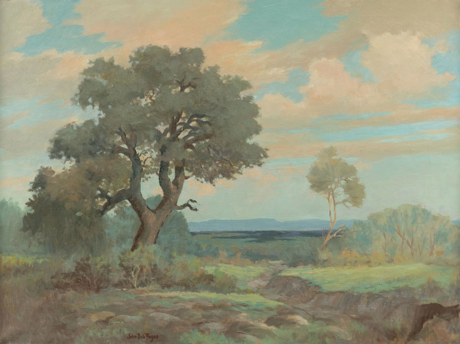 John Bob Payne, Oak Tree (1 of 4)