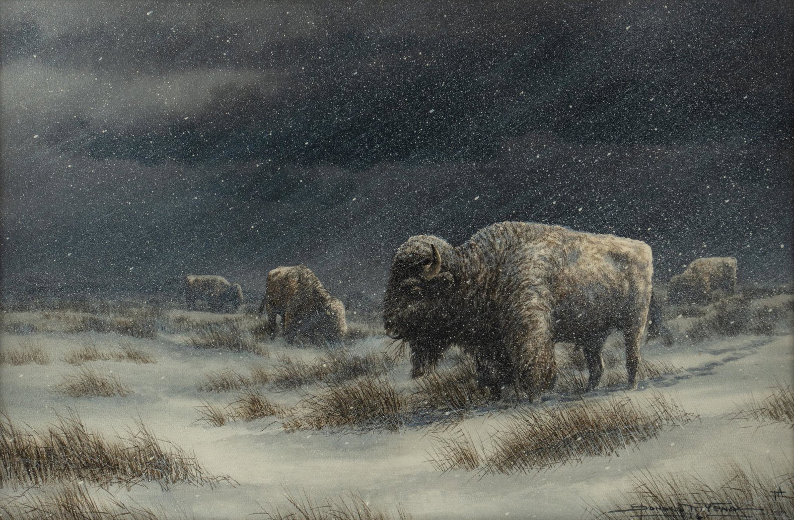 Donald Yena, Buffalo in Snowstorm, 1976: Donald Yena (Amer., b. 1933), buffalo in snowstorm, 1976, watercolor sight: 20 x 40 in., frame: 27 x 37 in. €â€¹€â€¹€â€¹€â€¹€â€¹€â€¹€â€¹&