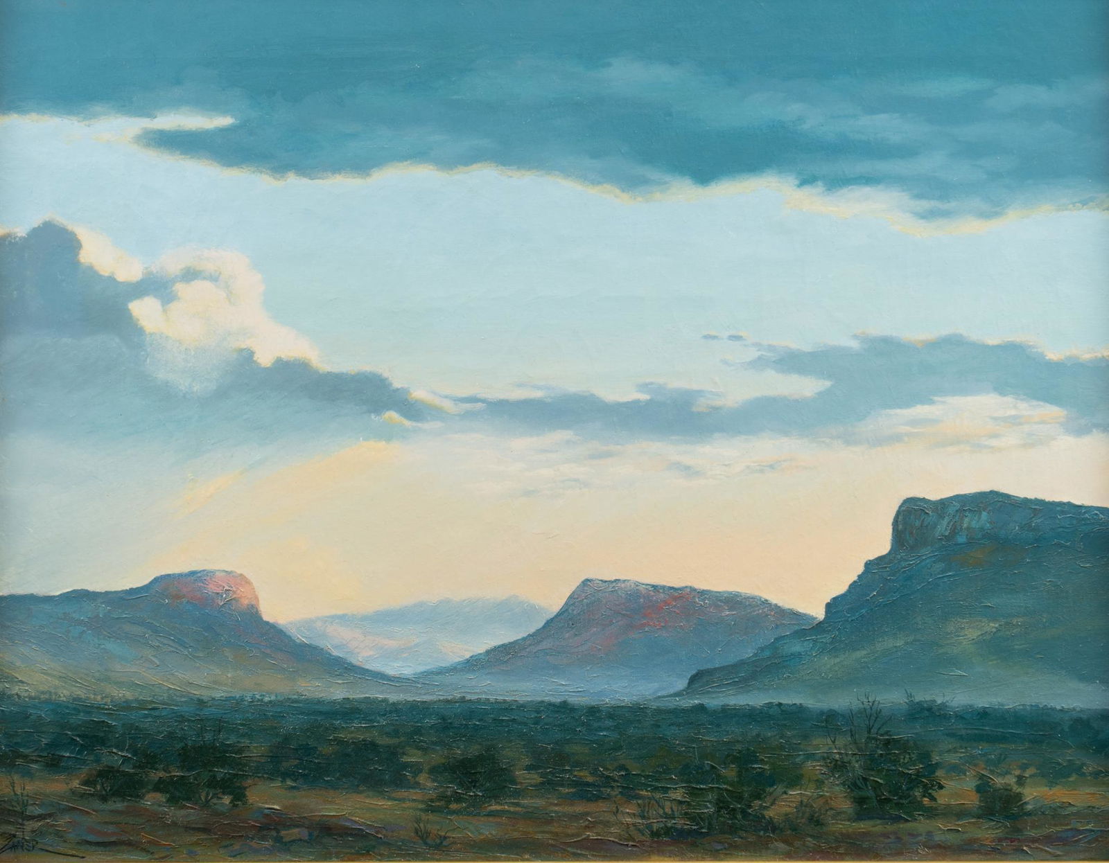 Bill Zaner, Big Bend Landscape (1 of 4)