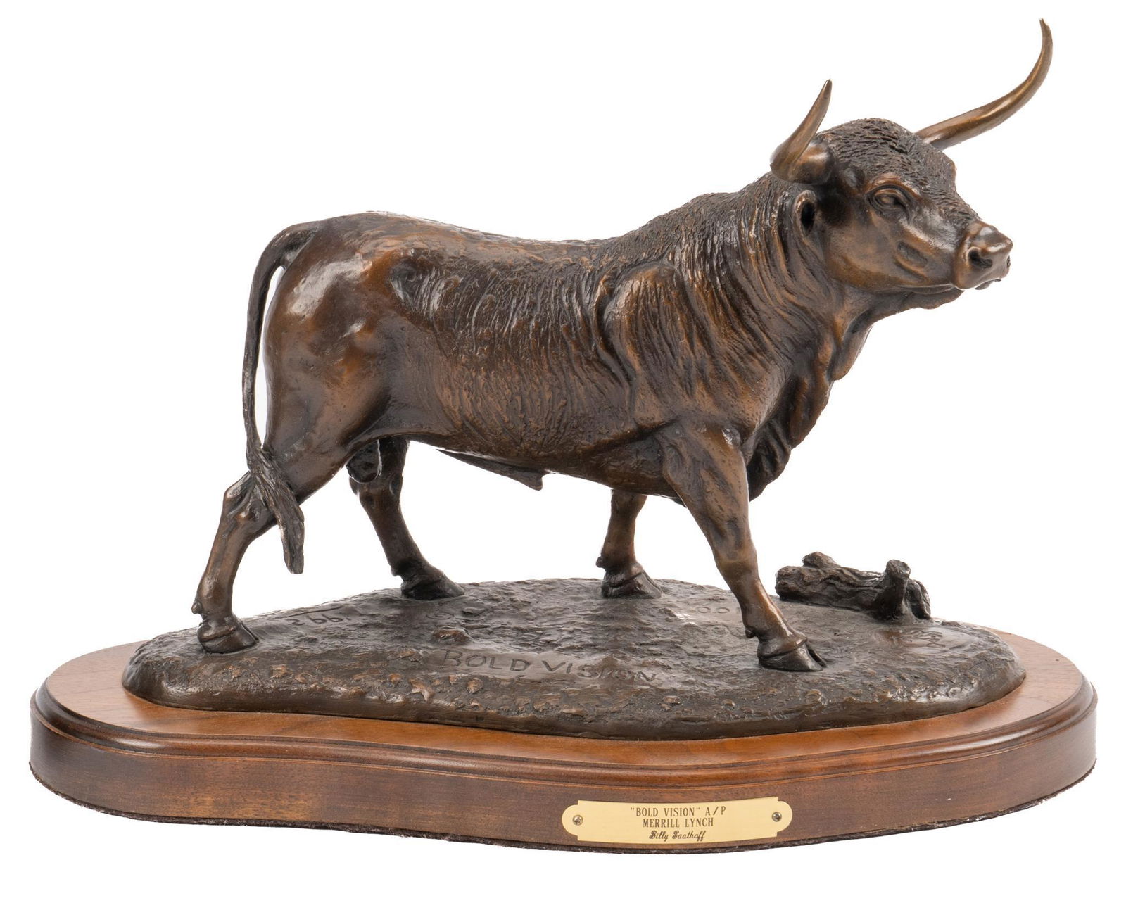 Billy Saathoff, "Bold Vision", AP (1 of 10)