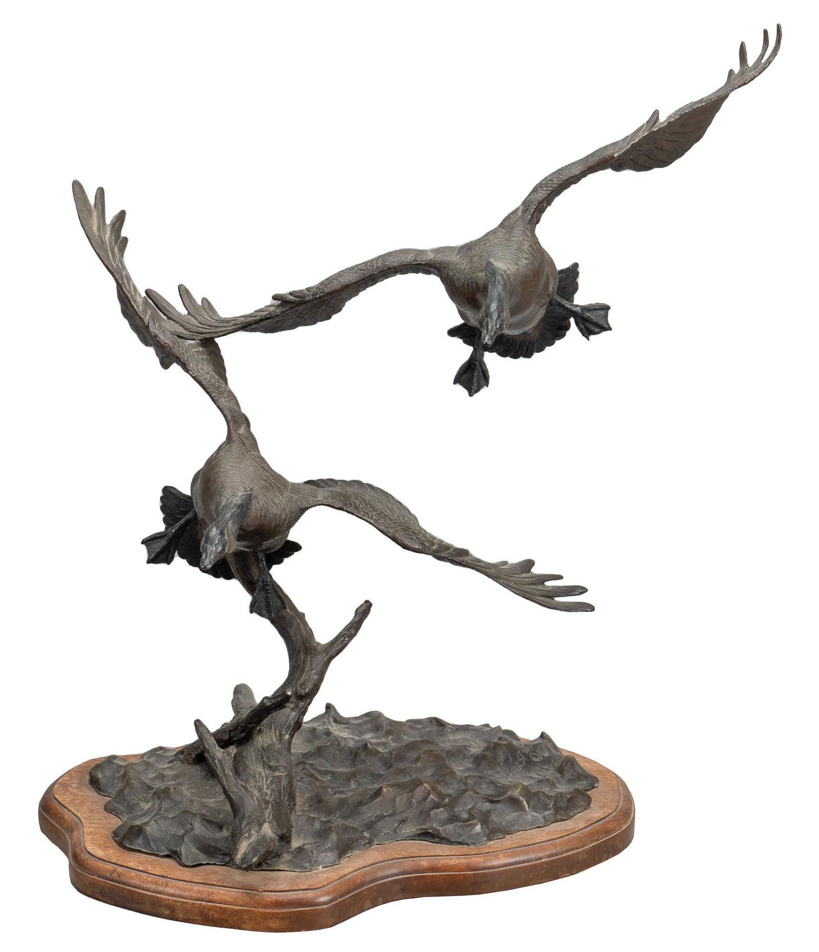 Bob Guelich, Geese in Flight (1 of 8)