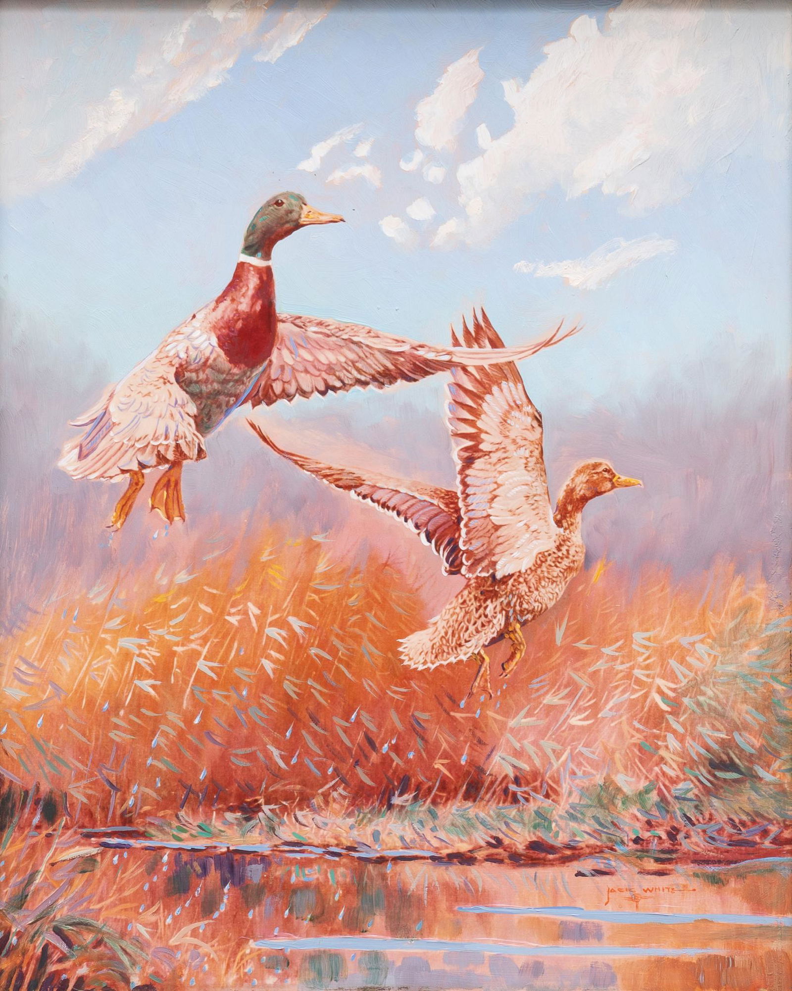 Jack White, "Mallards Taking Off" (1 of 4)